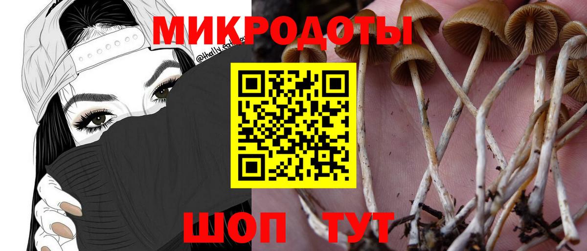 Северск  Псилоцибиновые грибы Psilocybine cubensis  купить закладку  Вход с VPN 
