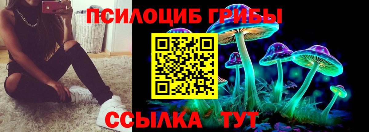 Псилоцибиновые грибы прущие грибы Северск